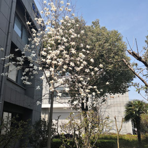 �S�^(q��)�h(hu��n)��