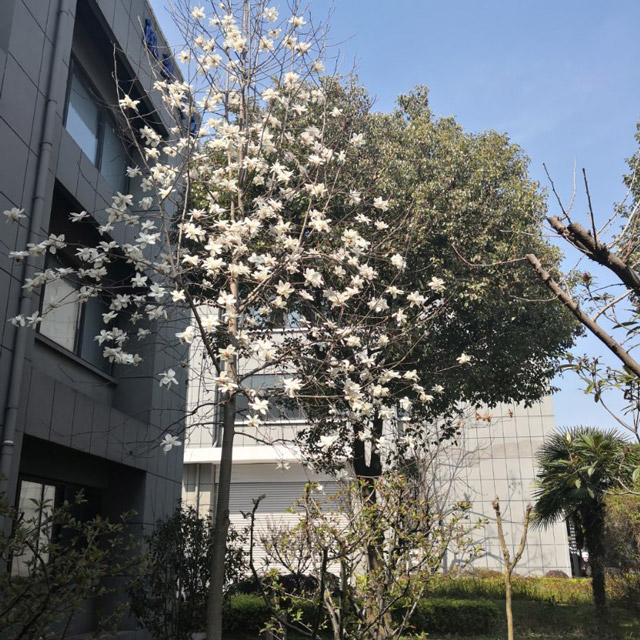 �S(ch��ng)�^(q��)�h(hu��n)��